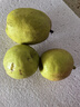 京鲜生 新疆库尔勒香梨 净重10斤 特级 单果120g以上 生鲜水果 实拍图