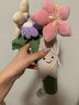 Jellycat趣味花束手捧花趣味植物毛绒玩偶公仔植物圣诞节生日礼物 趣味花束 One Size 实拍图