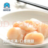 海鲜世家冷冻扇贝柱 450g 65-80粒 瑶柱 生鲜 火锅烧烤食材海鲜生鲜 实拍图
