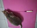 憨憨乐园 CFA赛级木柄弹簧猫咪逗猫棒珍珠羽毛铃铛可拆卸替换头耐用猫玩具 实拍图