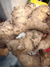 产地直发云南小黄姜新鲜生姜黄姜调味料新鲜蔬菜生鲜 3斤 装 实拍图