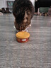 弗列加特98%高含肉量 FPMR生骨肉猫主食罐 成猫罐头 混合装95g*6罐 实拍图