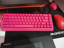 迈从（MCHOSE）Ace 68/60Pro磁轴键盘 RT电竞游戏客制化机械有线连接全键热插拔双驱动无畏契约 Ace68 电竞版 浆果红 冰犀磁轴 实拍图