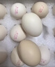 黄天鹅可生食鸡蛋 30枚/3.18斤 PLUS定制礼盒装鲜鸡蛋京东自营 无抗生素 实拍图