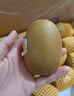 佳沛（zespri）新西兰 阳光金奇异果12粒礼盒特大果单果约122-146g 猕猴桃 水果 实拍图