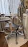 黑白调X7智能追腰椅人体工学椅电脑椅办公椅人工力学座椅【罗永浩推荐】 实拍图