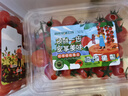 【水果菜】吮指小糖豆400g(小番茄) 实拍图