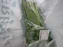 带根香菜100g 实拍图