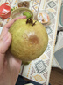 京觅福建红心芭乐 番石榴 应季 低糖孕妇水果 单果150g 净重3斤装 实拍图