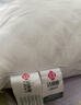 洁丽雅（Grace）纤维枕 星级酒店枕头枕芯 46*72cm 一对装（2只装） 实拍图