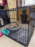 憨憨宠 狗笼猫笼 狗笼子小型犬带厕所幼犬折叠便携猫笼子宠物笼具兔笼 【精品真加粗】狗丝 85*61*71cm 实拍图