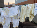 全棉时代双面柔感纯棉婴儿连体衣服新生儿男女宝宝四季 黄+地图66码 实拍图