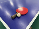 蝴蝶三星级乒乓球6只装专业大赛比赛用球R40+白色 实拍图