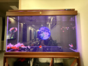 森森（SUNSUN）【包安装】新款鱼缸客厅大型玻璃金鱼缸生态底过滤免换水水族箱 120长42cm加宽升级豪华底滤（三色可选） 实拍图