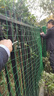 铁丝网围栏防护网养殖网荷兰网牛栏网隔离网养鸡鸭鹅铁网包塑栅栏 1.5米高+6厘米孔(30米/卷) 2.3mm粗【简单防护】 实拍图