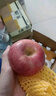 京鲜生山东烟台红富士苹果 5斤装单果75-80mm生鲜水果 源头直发 包邮 实拍图