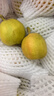 亨迅【新疆直邮】新疆库尔勒香梨子 应季时令水果生鲜 净重5斤装 精品单果80g+ 实拍图