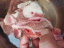 加拿大原切猪骨肉多肉尾叉骨2斤炖汤无激素更安全生鲜猪肉 1袋*1000g 原切 实拍图