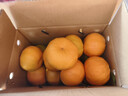 万春寨正宗永春芦柑5斤/10斤礼盒装新鲜现摘橘子柑桔 桔子当季水果大果 【香甜微酸】果径70mm礼盒（净重4.5斤）5斤装 实拍图