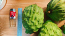 鲜福林云南牛奶凤梨释迦果新鲜应季水果超甜糯番荔枝 3斤净重单果150g+（新鲜直发） 实拍图