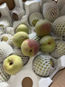 京氿生山东青州蜜桃脆甜桃子秋毛桃青色硬桃子小冬桃当季新鲜水果包邮 精选【4.5斤】约20-30个 实拍图