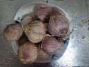 云南紫皮独头蒜干蒜果经3.0mm+ 大果直径3.0左右（3斤） 实拍图