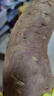 京鲜生山东四色蜜薯组合净重9斤单果100g+红薯地瓜紫薯烟薯源头直发包邮 实拍图