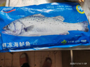 海名威 冷冻海鲈鱼850g/2条装 海鱼 生鲜鱼类 海鲜水产  实拍图