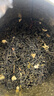 一杯香茶叶茉莉花茶飘雪横县250g2025新茶罐装茉莉绿茶散装自己喝送礼 实拍图