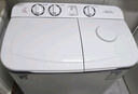 小鸭洗+脱15公斤 洗衣机半自动家用 双电机大容量双桶双缸波轮洗衣机脱水甩干双筒 半自动洗衣机 洗涤9公斤 脱水6公斤【强力去污|蓝光洁净】 实拍图