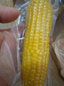 当季新货头茬东北黄甜糯玉米棒真空包装低脂黄糯大棒甜东北黏苞米 黄糯玉米【120-160克】4根 实拍图