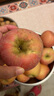 百媒烟台红富士苹果 单果190g+ 净重10斤 源头直发包邮 实拍图