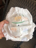宜婴新梦想家全包臀婴小内裤2XL68超薄拉拉裤【品牌直供 安心品质】 实拍图