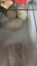 鹤农益得鹅蛋新鲜生鹅蛋农家喂养孕妇蛋生鲜杂粮散养精品礼盒装 12枚 1200g 单枚100g左右 实拍图
