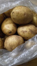 播州鲜新鲜土豆贵州特产高山马铃薯土豆黄皮黄心土豆农家自种蔬菜 黄皮土豆5斤 （净重） 实拍图