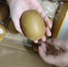 佳沛（zespri）新西兰  阳光金奇异果16粒礼盒经典果单果约 77-103g 水果 猕猴桃 实拍图