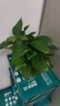 双盟绿萝盆栽除甲醛花卉绿植办公室新房净化空气 120款10盆源头直发 实拍图