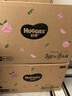 好奇（Huggies）铂金装小桃裤纸尿裤M144片(6-11kg)中号尿不湿【透爽散热】 实拍图