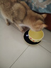 licheers恒温猫咪饮水机酸奶机恒温加热温水碗宠物陶瓷保温喝水碗 350ml 实拍图
