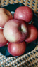 京鲜生山东烟台红富士苹果净重8斤单果80mm+生鲜水果源头直发 实拍图