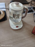 荣事达（Royalstar）养生壶 2.2L全自动带滤网316L煮茶壶 24h预约+24h恒温烧水壶18大菜单电热水壶花茶壶煮茶器YSH22B3 实拍图