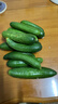 山东寿光水果黄瓜生吃脆新鲜荷兰青瓜当季无刺小黄瓜源头直发 精品水果黄瓜 3斤 实拍图