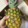 佳农 黑钻菠萝1粒装 菲律宾凤梨 净重2斤起 生鲜水果 源头直发 包邮 实拍图