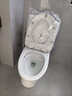 九牧（JOMOO）11173-2-1/31KD-3大力神家用马桶虹吸抗菌节水洁具305坑距 实拍图