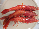 森农乐舟山竹节虾鲜活斑节虾特大九节虾冷冻野生大虾基围虾黑虎虾海虾类 1000g(净重)  10-12cm【23-28头/斤】 实拍图