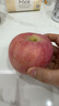 京鲜生山东烟台红富士苹果 净重5斤 单果85-90mm 生鲜水果 源头直发 实拍图