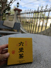 七春  六堡茶叶 黑茶熟茶广西梧州陈香2020年茶饼30g元旦新年高档自饮 实拍图
