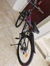 凤凰上海凤凰山地车自行车男士女式学生成人变速宽胎越野公路赛单车 【钢架/全套竞速轴承】条轮炫彩 26寸24速【建议身高158-188cm】 实拍图