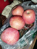甜醉了 烟台苹果栖霞红富士新鲜水果生鲜山东特产脆甜整箱平果礼盒礼品 红富士净重4.5斤75-80mm 实拍图