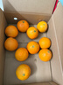 京鲜生 爱媛果冻橙 净重5斤 单果130g起 生鲜水果桔子礼盒 实拍图